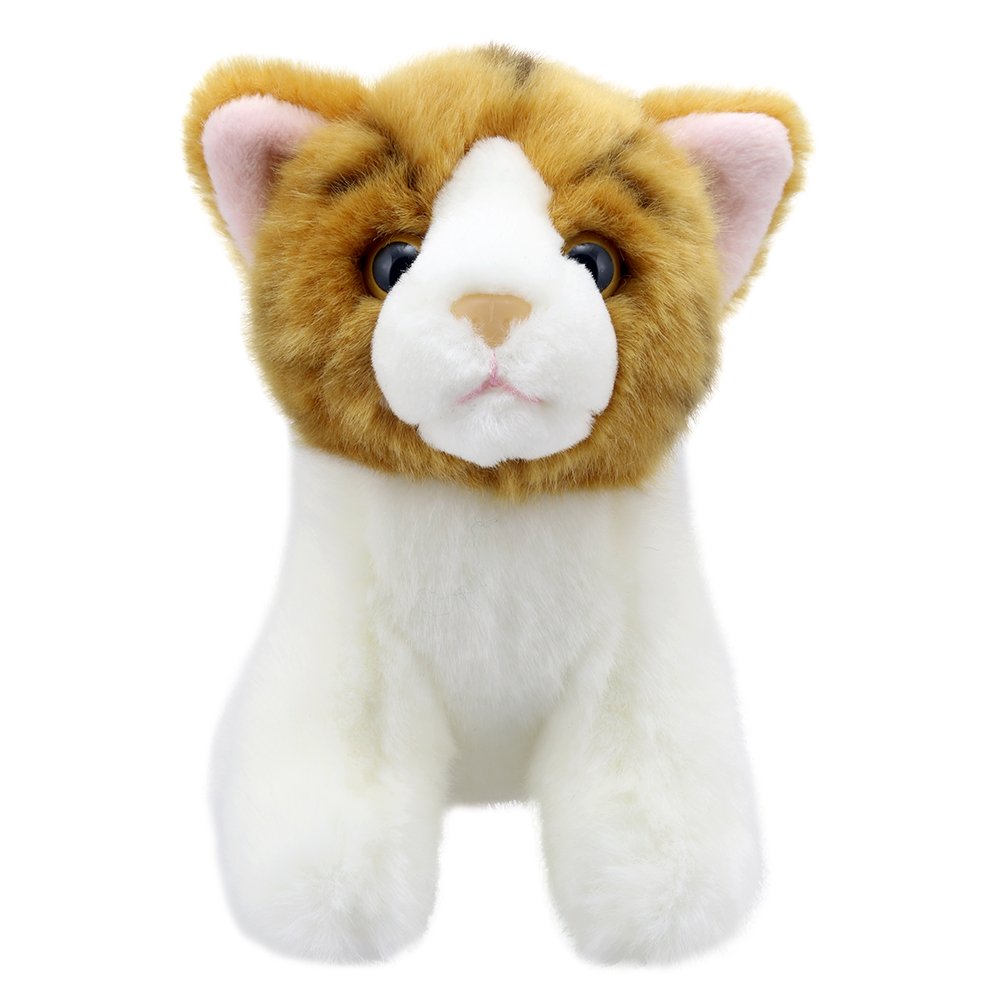  Wilberry Minis Ginger Cat Soft Toy for Kids - Perfect for Birthday Gifts
| Wilberry Minis Ginger Cat Soft Toy - Hypoall
